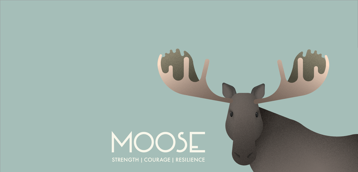 Moose illustrated on light blue.